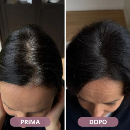 Fibrow - Hairline Powder